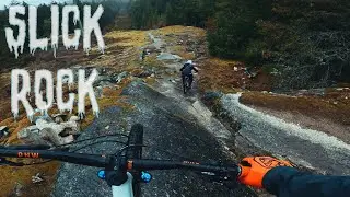 Sechelt BC: The Ultimate Trail Paradise!