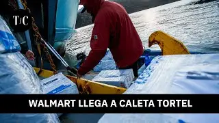 Walmart llega hasta Caleta Tortel: cómo sus habitantes viven la irrupción de una cadena