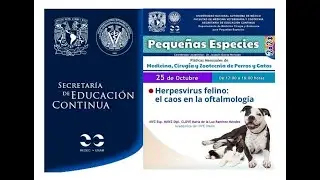 Herpesvirus felino: el caos en la oftalmología