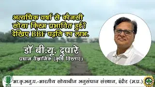 अत्यधिक वर्षा से कौनसी सोया क़िस्म प्रभावित हुई? देखिए BBF पद्धति का लाभ...|| IISR INDORE
