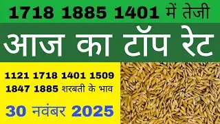 धान का भाव आज 🔴30 नवंबर 2025 | 1509,1121, बासमती | Dhaan Rate Today | Agri Commodity Price