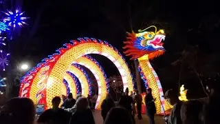 St Louis Zoo Animals Aglow