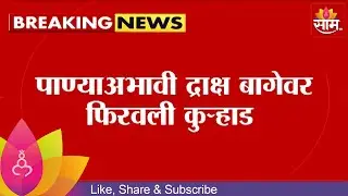 Solapur News | सोलापूरात कोसेगावात शेतकरी हवालदिल  Maharashtra Politics | Marathi News