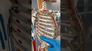 This is How Deep Breathing Works