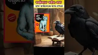 କାଉ ମାନେ ସତ କଲେ ବର୍ଣ୍ଣବୋଧ ବହିର ଗପ 😁 #odia #facts #shorts