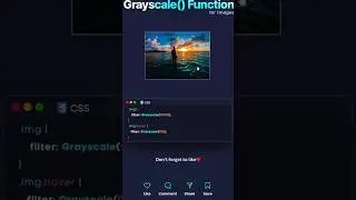 Grayscale functions |CSS Animation 