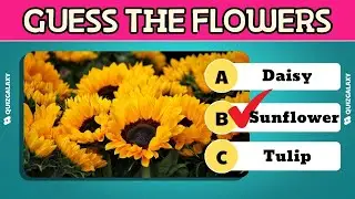40 Flower Knowledge Test Riddles - Do you know everything about different types of flowers?