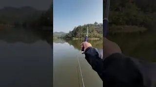 Amazing fishing | Catching Catfish & Giant Snakehead | Skills Fishing Exciting #Shorts | Ep36