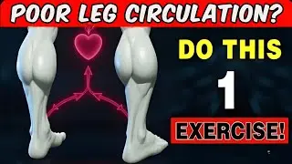 Over 50? Do THESE 5 Exercises for Poor Leg Circulation | Senior Wellness