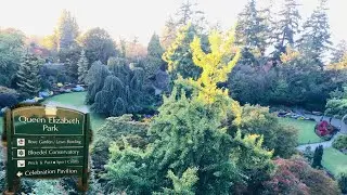 The beauty of Queen Elizabeth Park|| Vancouver, BC
