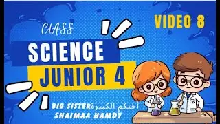 Science Primary 4 Concept (3.2) Lesson 1 Second term 2024 - Big sister / Shaimaa Hamdy Kassem