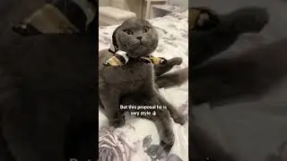 Sister Minnie has a new proposal