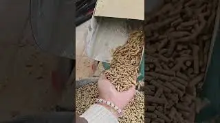 Machine &agrave; granule pour animaux &ndash; L&rsquo;alli&eacute; parfait pour vos &eacute;levages ! 🐄🐓