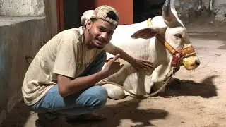 #malirmandi2025 #cow #naveedcattlefarm #cattlefarm #karachimandi #bull #cattlefarm #malirmandi2025