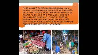 Seed Microfinance Institution S.C