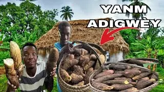 Vin gade koman lavi jèn Gason sa chanje nan yon Jaden Yanm.