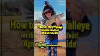 🎣 Quick Tips How to Catch Walleye on the Wisconsin River 🐟 #FishingShorts