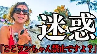 「ワンちゃんを盾に使うな！」 ペットを利用し逮捕を拒み 被害者面で犯罪から免れようとした迷惑女の末路