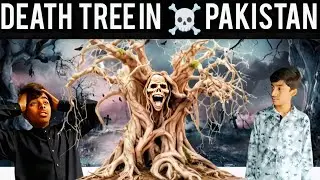 The Death ☠️ tree in Pakistan | new Short film horror | #horror #movie 