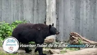 Sitka Community TV Is Looking For Volunteers!