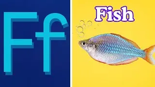 F for Fish 🐠 | F for  Flower 🌼 | F Words for Kids | ABC Phonics Vocabulary | #BEEQANKIDS