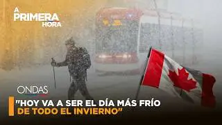 🟡 A PRIMERA HORA!! 