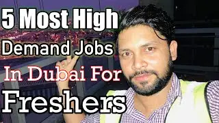 Most High Demand Jobs in Dubai #freshers #Free job dubai @rohitenu