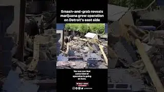 Smash-and-grab reveals marijuana grow operation on Detroit's east side