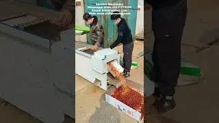 High Speed Dry Chili Segment Cutting Machine