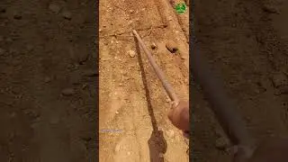 🔥Super idea👌🏻for sowing spinach!!👆🏻 #garden #tips #farming #short