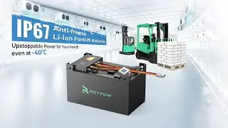 Power Up Your Cold Storage Operations with ROYPOW Forklift Batteries