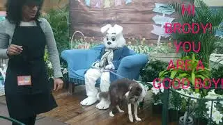 Brody and Easter Bunny!