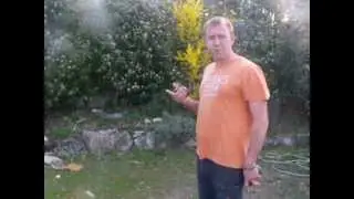 COURS LECON 2 APPRENDRE A TIRER A LA PETANQUE POUR LES DEBUTANTS