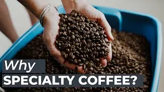 Is Specialty Coffee Really Special? | SPECIALTY VS REGULAR COFFEE