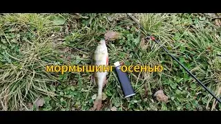 Мормышинг осенью
