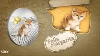 Felis Margarita Cat Silver Proof Coin: Wild Cats Fiji 2013 Dogs and Cats S1