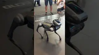 IFA Berlin 2024 Day 1 with ArmadilloTech 🦾 #tech #expo #ifa