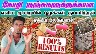 #கோழி குஞ்சுகளுக்குக்கான புழுக்கள் தயாரித்தல்#இயற்கை முறையில்#ஊட்டசத்து#worms#chicken#eggs#pet#chike