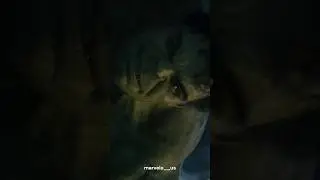 #marvel #mcushorts #trending #natasharomanoff #halk #banner #mcufan #marvelo__us #viral #viralvideo