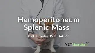 Hemoperitoneum Splenic Mass