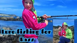 lure fishing for bass with little ted on the north east coast of guernsey