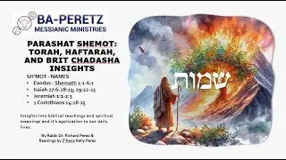 Torah Portion:  Parashot Shemot