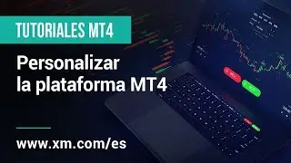 XM.COM - Tutoriales MT4 - Personalizar la plataforma MT4
