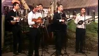 TS Pleter - Baranjske noći