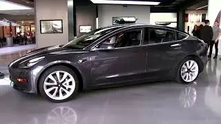 Tesla hurt by Musk's falling reputation, survey says | REUTERS