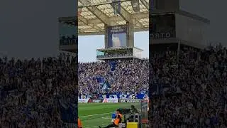 FC Porto fans (FC Porto - Vitoria Guimaraes 27.5.2023) #FCPorto #ultras #dragao