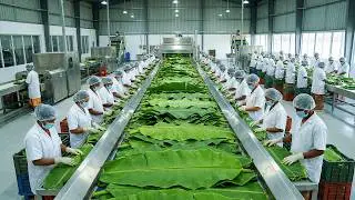 Don&rsquo;t Throw Away Banana Leaves! See How They Turn Into Organic Gold | 4K resolution