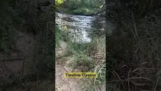Timeline Cleanse to break up your doom scrolling #timelinecleanse #nature #river #osun