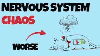 Signs Your Nervous System Is Healing (Even If It Feels Wrong)