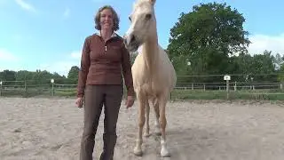 Klassische Reitlehre Bianca Rieskamp: Über die Dominanz im Umgang mit dem Pferd